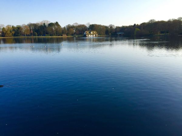 Across the Lake